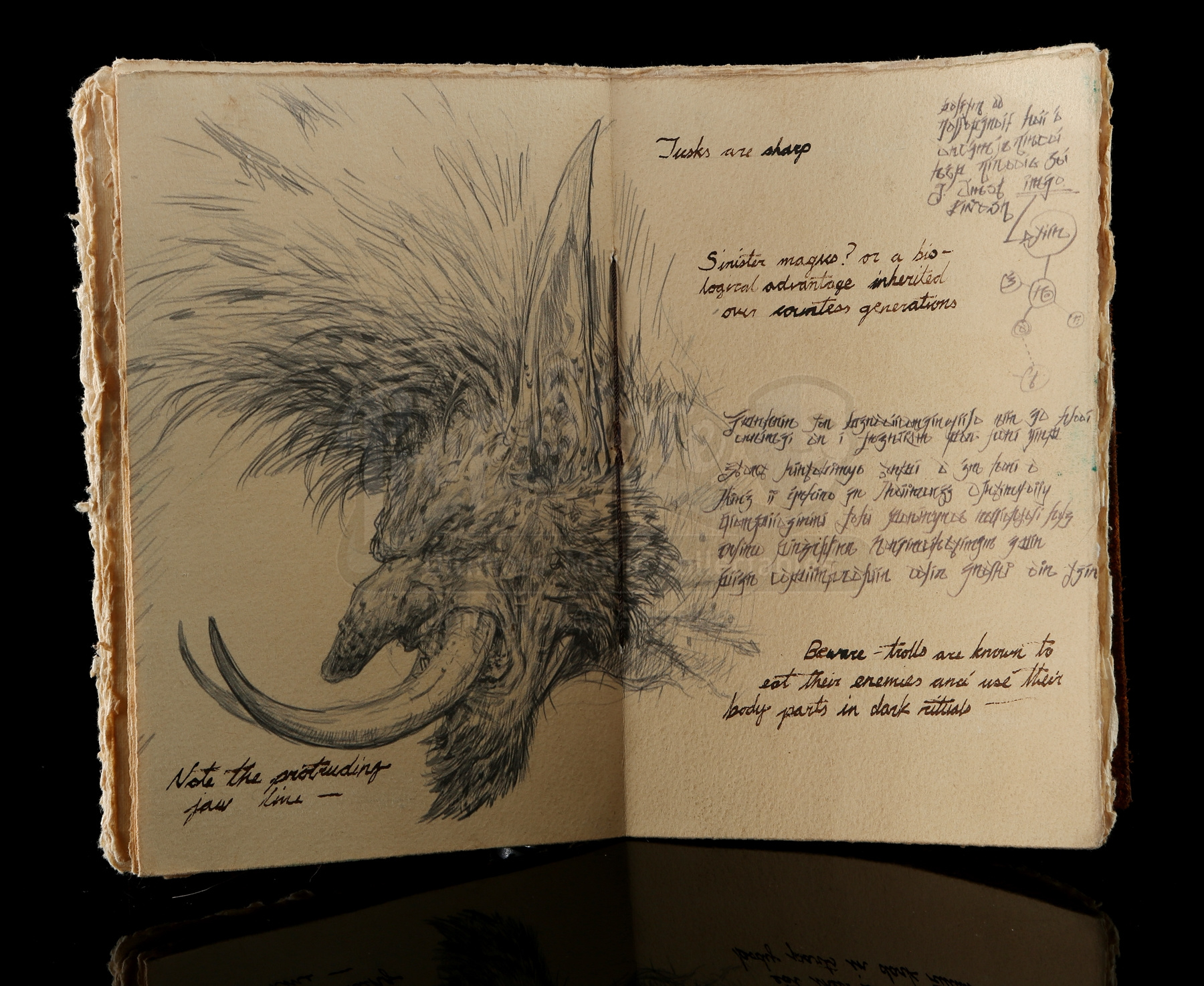 卡德加的日記本，相當精美，根本不像道具，這是藝術！